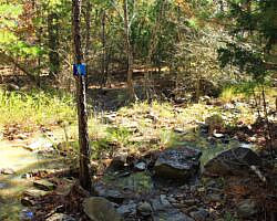Robbers Cave: Cattail Pond/Rough Canyon Trail Loop – 4 mi photo Robbers Cave: Cattail Pond/Rough Canyon Trail Loop – 4 mi photo