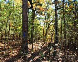 Robbers Cave: Cattail Pond/Rough Canyon Trail Loop – 4 mi photo Robbers Cave: Cattail Pond/Rough Canyon Trail Loop – 4 mi photo