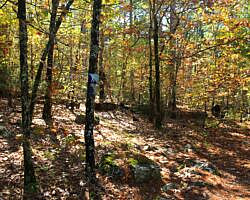 Robbers Cave: Cattail Pond/Rough Canyon Trail Loop – 4 mi photo Robbers Cave: Cattail Pond/Rough Canyon Trail Loop – 4 mi photo