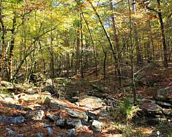 Robbers Cave: Cattail Pond/Rough Canyon Trail Loop – 4 mi photo Robbers Cave: Cattail Pond/Rough Canyon Trail Loop – 4 mi photo