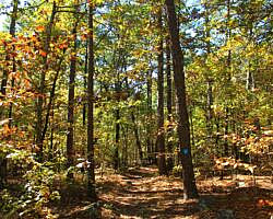Robbers Cave: Cattail Pond/Rough Canyon Trail Loop – 4 mi photo Robbers Cave: Cattail Pond/Rough Canyon Trail Loop – 4 mi photo