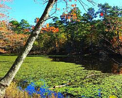 Robbers Cave: Cattail Pond/Rough Canyon Trail Loop – 4 mi photo Robbers Cave: Cattail Pond/Rough Canyon Trail Loop – 4 mi photo