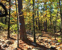 Robbers Cave: Cattail Pond/Rough Canyon Trail Loop – 4 mi photo Robbers Cave: Cattail Pond/Rough Canyon Trail Loop – 4 mi photo