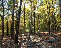 Robbers Cave: Cattail Pond/Rough Canyon Trail Loop – 4 mi photo Robbers Cave: Cattail Pond/Rough Canyon Trail Loop – 4 mi photo
