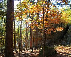 Robbers Cave: Cattail Pond/Rough Canyon Trail Loop – 4 mi photo Robbers Cave: Cattail Pond/Rough Canyon Trail Loop – 4 mi photo
