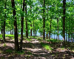 DeGray Lake: Island Trail – 1 mi photo DeGray Lake: Island Trail – 1 mi photo