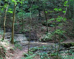 Buffalo River Trail: Ponca to Steel Creek – 4 mi (o&b) photo Buffalo River Trail: Ponca to Steel Creek – 4 mi (o&b) photo