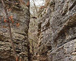 Buffalo River Trail: Ponca to Steel Creek – 4 mi (o&b) photo Buffalo River Trail: Ponca to Steel Creek – 4 mi (o&b) photo