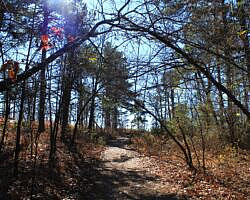 Mount Magazine: Benefield West Loop Trail - 1 mi photo Mount Magazine: Benefield West Loop Trail - 1 mi photo
