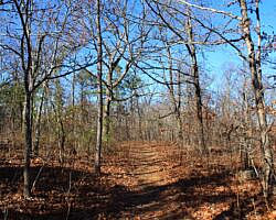 Mount Magazine: Benefield West Loop Trail - 1 mi photo Mount Magazine: Benefield West Loop Trail - 1 mi photo