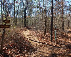Mount Magazine: Benefield West Loop Trail - 1 mi photo Mount Magazine: Benefield West Loop Trail - 1 mi photo