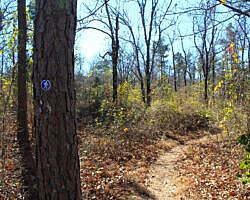 Mount Magazine: Benefield West Loop Trail - 1 mi photo Mount Magazine: Benefield West Loop Trail - 1 mi photo