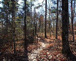 Mount Magazine: Benefield West Loop Trail - 1 mi photo Mount Magazine: Benefield West Loop Trail - 1 mi photo