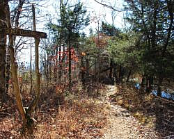 Mount Magazine: Benefield West Loop Trail - 1 mi photo Mount Magazine: Benefield West Loop Trail - 1 mi photo