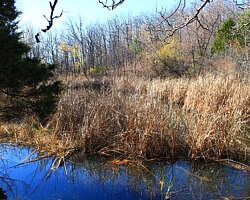 Mount Magazine: Benefield West Loop Trail - 1 mi photo Mount Magazine: Benefield West Loop Trail - 1 mi photo