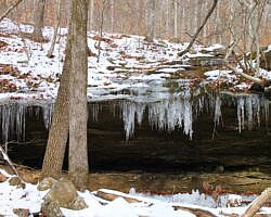 Glory Hole Falls Trail (Ozark Forest) in Winter photo Glory Hole Falls Trail (Ozark Forest) in Winter photo