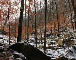 Glory Hole Falls Trail (Ozark Forest) in Winter photo Glory Hole Falls Trail (Ozark Forest) in Winter photo