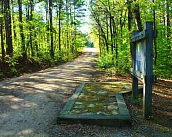 Ouachita Trail: 30.5-34.3 - Hwy 259 (Big Cedar Trailhead) to Pashubbe Trailhead (Section 2) photo Ouachita Trail: 30.5-34.3 - Hwy 259 (Big Cedar Trailhead) to Pashubbe Trailhead (Section 2) photo