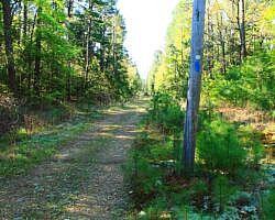 Ouachita Trail: 30.5-34.3 - Hwy 259 (Big Cedar Trailhead) to Pashubbe Trailhead (Section 2) photo Ouachita Trail: 30.5-34.3 - Hwy 259 (Big Cedar Trailhead) to Pashubbe Trailhead (Section 2) photo