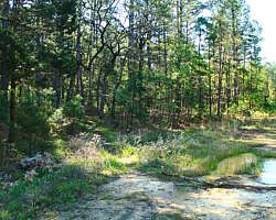 Ouachita Trail: 30.5-34.3 - Hwy 259 (Big Cedar Trailhead) to Pashubbe Trailhead (Section 2) photo Ouachita Trail: 30.5-34.3 - Hwy 259 (Big Cedar Trailhead) to Pashubbe Trailhead (Section 2) photo
