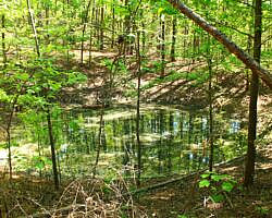 Ouachita Trail: 30.5-34.3 - Hwy 259 (Big Cedar Trailhead) to Pashubbe Trailhead (Section 2) photo Ouachita Trail: 30.5-34.3 - Hwy 259 (Big Cedar Trailhead) to Pashubbe Trailhead (Section 2) photo