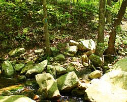 Ouachita Trail: 30.5-34.3 - Hwy 259 (Big Cedar Trailhead) to Pashubbe Trailhead (Section 2) photo Ouachita Trail: 30.5-34.3 - Hwy 259 (Big Cedar Trailhead) to Pashubbe Trailhead (Section 2) photo