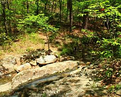 Ouachita Trail: 30.5-34.3 - Hwy 259 (Big Cedar Trailhead) to Pashubbe Trailhead (Section 2) photo Ouachita Trail: 30.5-34.3 - Hwy 259 (Big Cedar Trailhead) to Pashubbe Trailhead (Section 2) photo