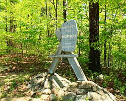 Ouachita Trail: 30.5-34.3 - Hwy 259 (Big Cedar Trailhead) to Pashubbe Trailhead (Section 2) photo Ouachita Trail: 30.5-34.3 - Hwy 259 (Big Cedar Trailhead) to Pashubbe Trailhead (Section 2) photo