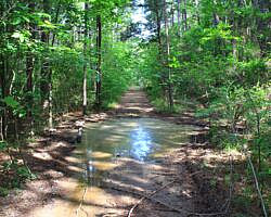 Ouachita Trail: 30.5-34.3 - Hwy 259 (Big Cedar Trailhead) to Pashubbe Trailhead (Section 2) photo Ouachita Trail: 30.5-34.3 - Hwy 259 (Big Cedar Trailhead) to Pashubbe Trailhead (Section 2) photo