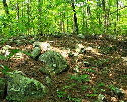 Ouachita Trail: 30.5-34.3 - Hwy 259 (Big Cedar Trailhead) to Pashubbe Trailhead (Section 2) photo Ouachita Trail: 30.5-34.3 - Hwy 259 (Big Cedar Trailhead) to Pashubbe Trailhead (Section 2) photo