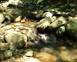 Ouachita Trail: 30.5-34.3 - Hwy 259 (Big Cedar Trailhead) to Pashubbe Trailhead (Section 2) photo Ouachita Trail: 30.5-34.3 - Hwy 259 (Big Cedar Trailhead) to Pashubbe Trailhead (Section 2) photo