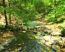 Ouachita Trail: 30.5-34.3 - Hwy 259 (Big Cedar Trailhead) to Pashubbe Trailhead (Section 2) photo Ouachita Trail: 30.5-34.3 - Hwy 259 (Big Cedar Trailhead) to Pashubbe Trailhead (Section 2) photo