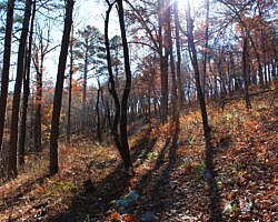 Ouachita Trail: 88.2-90.3 - FR 48 to FR 813 on Rockhouse Mtn. (Section 4) photo Ouachita Trail: 88.2-90.3 - FR 48 to FR 813 on Rockhouse Mtn. (Section 4) photo