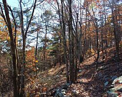 Ouachita Trail: 88.2-90.3 - FR 48 to FR 813 on Rockhouse Mtn. (Section 4) photo Ouachita Trail: 88.2-90.3 - FR 48 to FR 813 on Rockhouse Mtn. (Section 4) photo