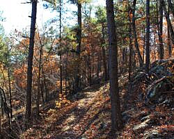 Ouachita Trail: 88.2-90.3 - FR 48 to FR 813 on Rockhouse Mtn. (Section 4) photo Ouachita Trail: 88.2-90.3 - FR 48 to FR 813 on Rockhouse Mtn. (Section 4) photo