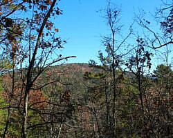 Ouachita Trail: 88.2-90.3 - FR 48 to FR 813 on Rockhouse Mtn. (Section 4) photo Ouachita Trail: 88.2-90.3 - FR 48 to FR 813 on Rockhouse Mtn. (Section 4) photo
