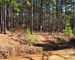 Ouachita Trail: 88.2-90.3 - FR 48 to FR 813 on Rockhouse Mtn. (Section 4) photo Ouachita Trail: 88.2-90.3 - FR 48 to FR 813 on Rockhouse Mtn. (Section 4) photo