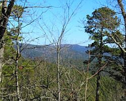 Ouachita Trail: 88.2-90.3 - FR 48 to FR 813 on Rockhouse Mtn. (Section 4) photo