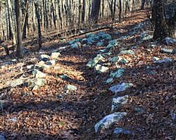 Ouachita Trail: 88.2-90.3 - FR 48 to FR 813 on Rockhouse Mtn. (Section 4) photo Ouachita Trail: 88.2-90.3 - FR 48 to FR 813 on Rockhouse Mtn. (Section 4) photo