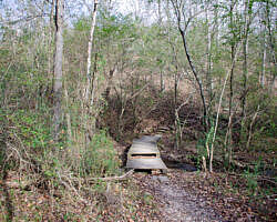 Woolly Hollow: Huckleberry Trail - 3 mi photo Woolly Hollow: Huckleberry Trail - 3 mi photo