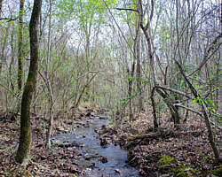 Woolly Hollow: Huckleberry Trail - 3 mi photo Woolly Hollow: Huckleberry Trail - 3 mi photo