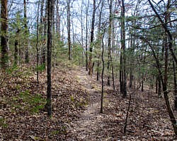 Woolly Hollow: Huckleberry Trail - 3 mi photo