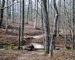 Woolly Hollow: Huckleberry Trail - 3 mi photo Woolly Hollow: Huckleberry Trail - 3 mi photo