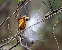 Woolly Hollow: Huckleberry Trail - 3 mi photo Woolly Hollow: Huckleberry Trail - 3 mi photo