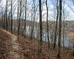 Woolly Hollow: Huckleberry Trail - 3 mi photo Woolly Hollow: Huckleberry Trail - 3 mi photo