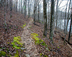 Woolly Hollow: Huckleberry Trail - 3 mi photo Woolly Hollow: Huckleberry Trail - 3 mi photo