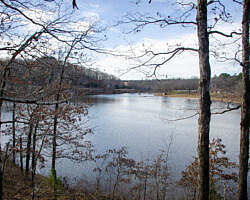 Woolly Hollow: Huckleberry Trail - 3 mi photo Woolly Hollow: Huckleberry Trail - 3 mi photo