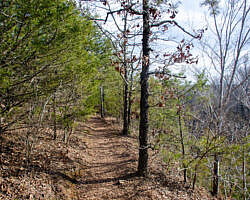 Woolly Hollow: Huckleberry Trail - 3 mi photo Woolly Hollow: Huckleberry Trail - 3 mi photo