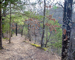 Woolly Hollow: Huckleberry Trail - 3 mi photo Woolly Hollow: Huckleberry Trail - 3 mi photo