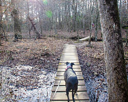 Woolly Hollow: Huckleberry Trail - 3 mi photo Woolly Hollow: Huckleberry Trail - 3 mi photo